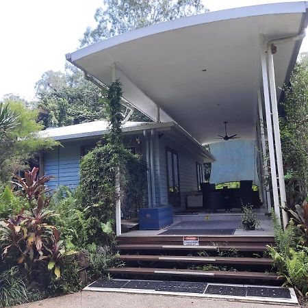 Daintree Rainforest Accommodation Cow Bay Dış mekan fotoğraf