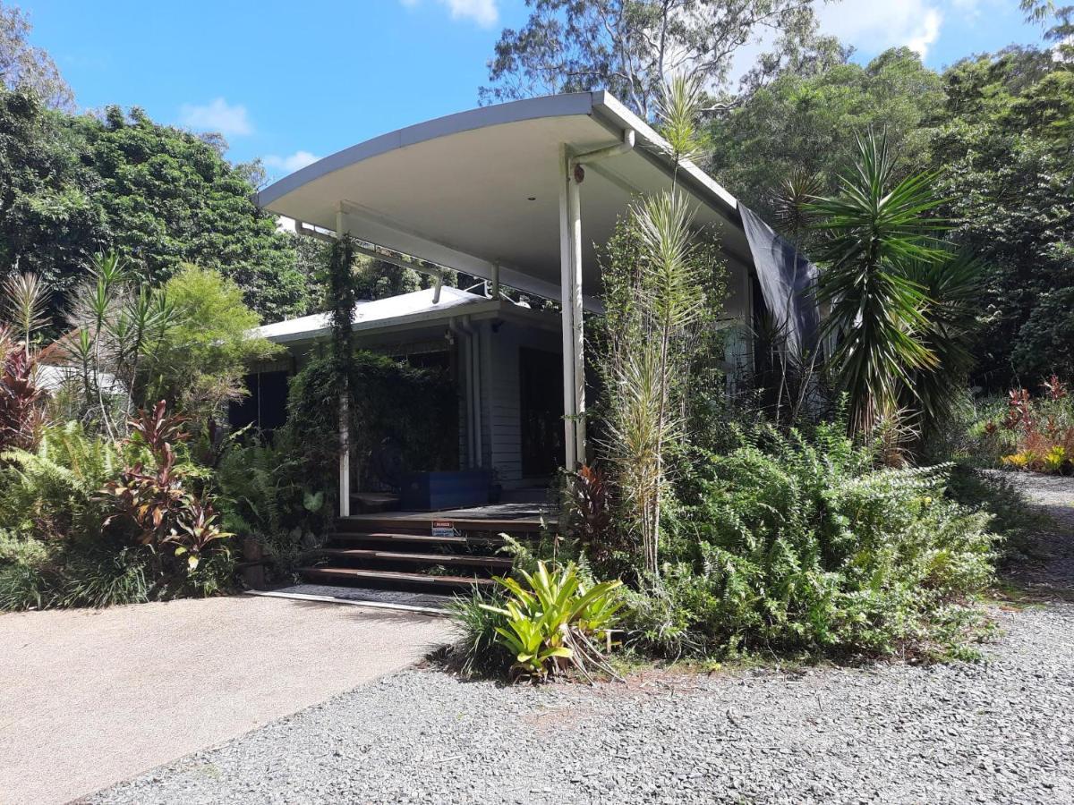 Daintree Rainforest Accommodation Cow Bay Dış mekan fotoğraf